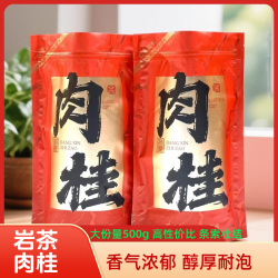 高山肉桂武夷岩茶大红袍500g 支持试喝3泡