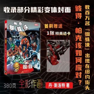 《神奇蜘蛛侠：蜘蛛岛》