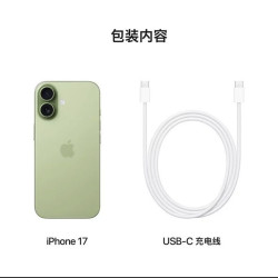 Apple iPhone 17 5G手机 鼠尾草绿色256G