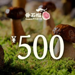 番石榴 500元代金券|限1张