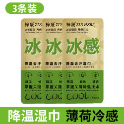降温冰巾湿巾 加大款 1片*3包