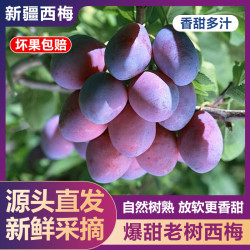 薏品甄鲜 新疆西梅 净重4.5斤  单果20g+