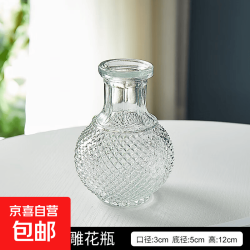复古小花瓶浮雕玻璃 1支装地球浮雕透明花瓶+泡沫包装