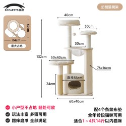 兽牌 奶酪猫爬架小户型不占地多层实木家用专用猫架子猫窝猫树一体