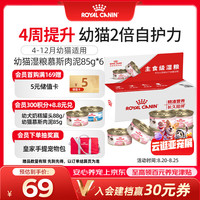 皇家 幼猫湿粮罐头KLC 通用粮 4-12月 慕斯肉泥85g*6