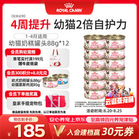 皇家 猫粮 幼猫湿粮 幼猫奶糕 离乳期幼猫罐头1-4月通用粮88g*12