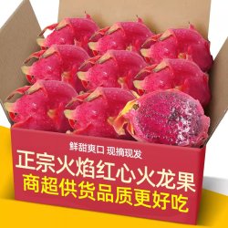 果乡趣 云南高山火焰品种红心火龙果3-5斤海南金都一号新鲜水果红肉