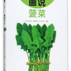 中国农业出版社 画说菠菜我的小小农场 蔬菜科普认知绘本