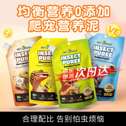 REPTI ZOO REPTIZOO/瑞皮瑞皮果泥守宫睫角昆虫饲料豹纹虫泥鬃狮蜥爬宠食物 睫角水果虫膏80g*1