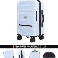 淡雾紫结实耐用加厚行李箱20寸高品质拉杆箱29大容量密码箱