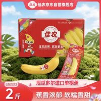 佳农 厄瓜多尔进口香蕉 1kg礼盒装