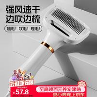 HELLOJOY 宠物吹风机吹水机泰迪比熊卷毛犬狗狗拉毛吹梳一体神器用品