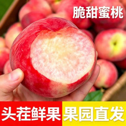 正宗脆蜜桃整箱包邮毛桃应季新鲜水果桃子脆甜