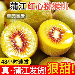 纤果莱 四川红心猕猴桃奇异果新鲜孕水果蒲江弥猴桃当季现摘香甜多汁包邮