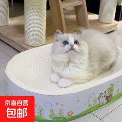 京喜 猫抓板猫窝多功能一体超大号巨无霸自嗨解闷耐磨耐抓猫咪玩具用品 白宽边椭圆50*36*9cm