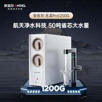 安吉尔 净水器家用厨下式过滤器母婴直饮机 5年RO反渗透玉龙Pro1200G 0陈水 J3673-ROC150