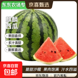 京喜加 东东农场专供 云南麒麟西瓜 带箱5-7斤净重5斤+