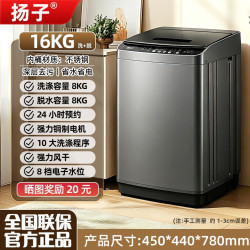 扬子 10KG洗衣机全自动小型家用大容量波轮洗脱一体