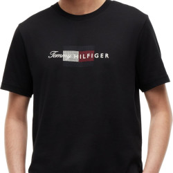 Tommy Hilfiger 汤米·希尔费格 男式 S/S T 恤, 黑色(黑色)