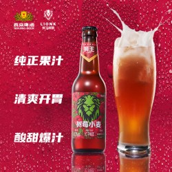 燕京狮王官方旗舰精酿树莓小麦白啤10度330ml*12瓶果味啤酒