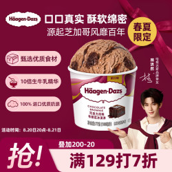 哈根达斯 双重巧克力 马卡龙冰淇淋  双重巧克力 81g