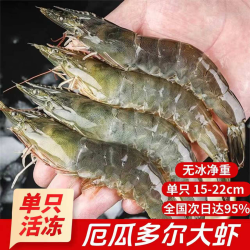 添渔港 厄瓜多尔白虾 单冻工艺 30-40只/斤 3斤