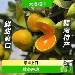 淘天然 正宗江西寻乌蜜桔青橘 甜橘子桔子时令应季新鲜水果现摘现发