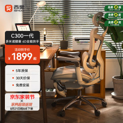 西昊 Doro C300 人体工学电脑椅 灰色 带脚踏款