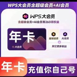 wps 大会员年卡