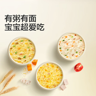 宝宝馋了 婴幼儿配方粥面 8月+ 尝鲜装 辅食