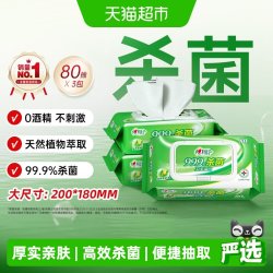 心相印 卫生系列湿巾 去菌 单片独立装