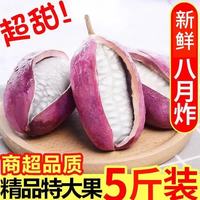 采缇 CAITI）新鲜贵州八月瓜净重1斤装 中果单果100g左右