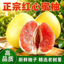 土夫子 正宗海南红心蜜柚红心柚子5斤新鲜当季平和柚子现摘包邮广西仓发