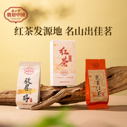 正山堂 骏眉中国武夷红茶 特级 10g