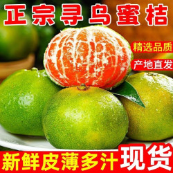 平晏果园 江西寻乌蜜桔青皮橘子无籽酸甜多汁应季孕妇水果产地直发