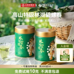 川红 官方林湖特级碧螺春浓香型耐泡茶叶自己喝明前绿茶共250g