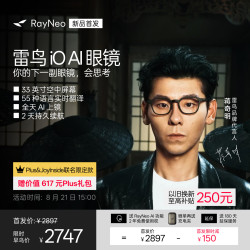 雷鸟 iO AI眼镜智能眼镜 双目显示眼镜Plus限定极夜充电盒款