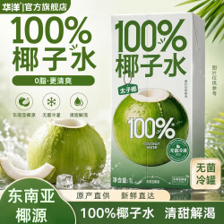 华洋 100%纯椰子水1升大瓶整箱0蔗糖无添加0脂肪含钾天然香水椰汁饮料 100%椰子水1L装