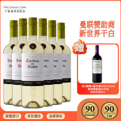 红魔鬼 苏维翁白/长相思白葡萄酒 750ml 整箱装 智利进口
