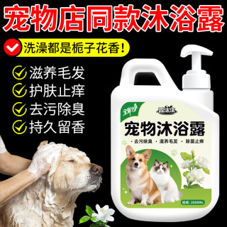 露沫沫猫狗通用宠物狗狗专用去污除臭止痒沐浴露持久留香沐浴露洗护套装 猫狗通用宠物沐浴露500ML/瓶