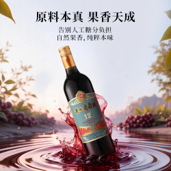 通化葡萄酒 通化红梅山葡萄酒（第3代）甜型红酒果酒微醺送礼 12度*1瓶