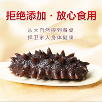 海赋 大连辽刺参 即食海参单个装1斤9-12只 即食海参1斤10-15只