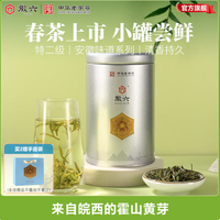 徽六 霍山黄芽茶叶 雨前特二级50g（口粮茶）