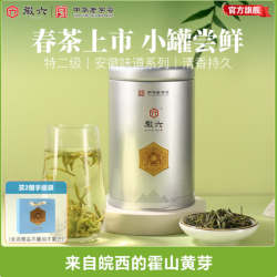 徽六 霍山黄芽茶叶 雨前特二级50g（口粮茶）