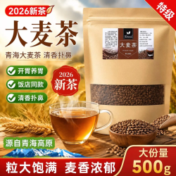 OTHER 大麦茶特级大麦茶低温烘培麦香浓厚饭后解腻传统工艺养生茶 特级大麦茶 500g*2包