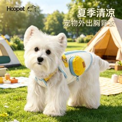 华元宠具 -pp彩色可爱牵引背心柯基比熊小型犬猫咪夏天狗狗外出衣服