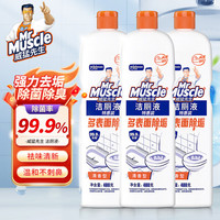 威猛先生 洁厕液 480g*3瓶 清香型