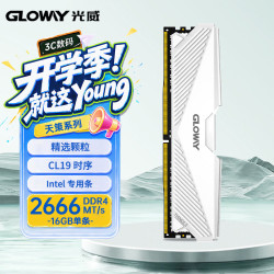 光威 16GB DDR4 2666 台式机内存条 天策II代 马甲条 精选颗粒 CL19  轻羽白 intel专用条 AI电脑