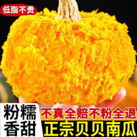 黄六爷 甘肃贝贝南瓜正宗惠和一号板栗味9斤新鲜当季蔬菜甜孕妇宝宝辅食 5斤 单果250g+