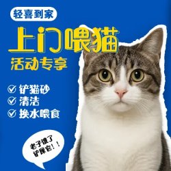 添粮换水｜猫砂｜陪玩
